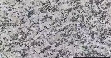 滨州 芙蓉白（芝麻白大花）火烧面