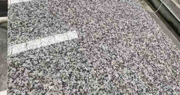 滨州 芙蓉白光面