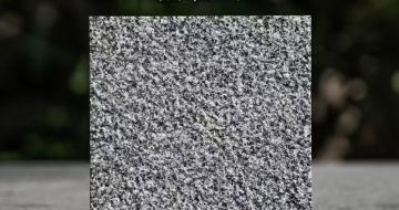 滨州 芝麻黑荔枝面