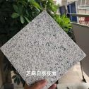 滨州 芝麻白荔枝面干挂