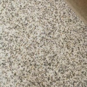 滨州 黄金麻中黄光面