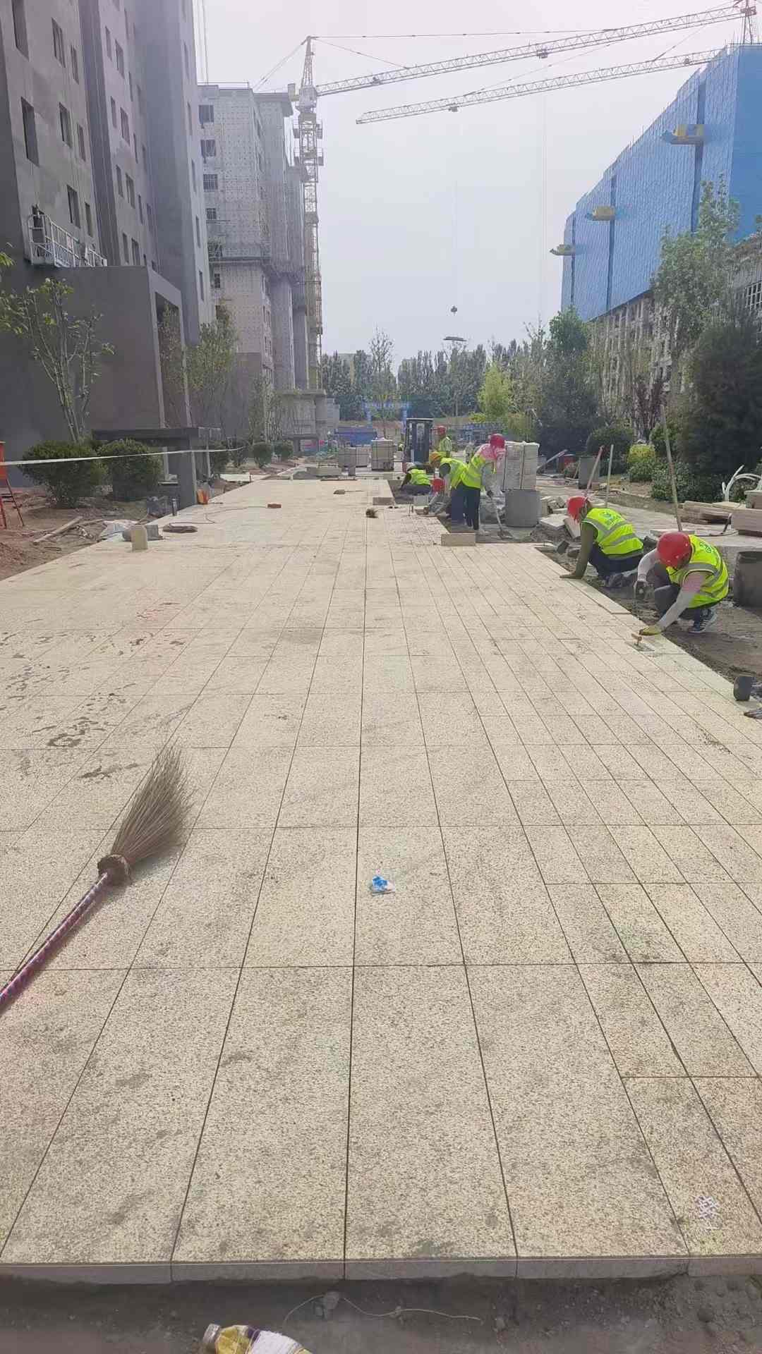 滨州黄金麻荔枝面地铺案例