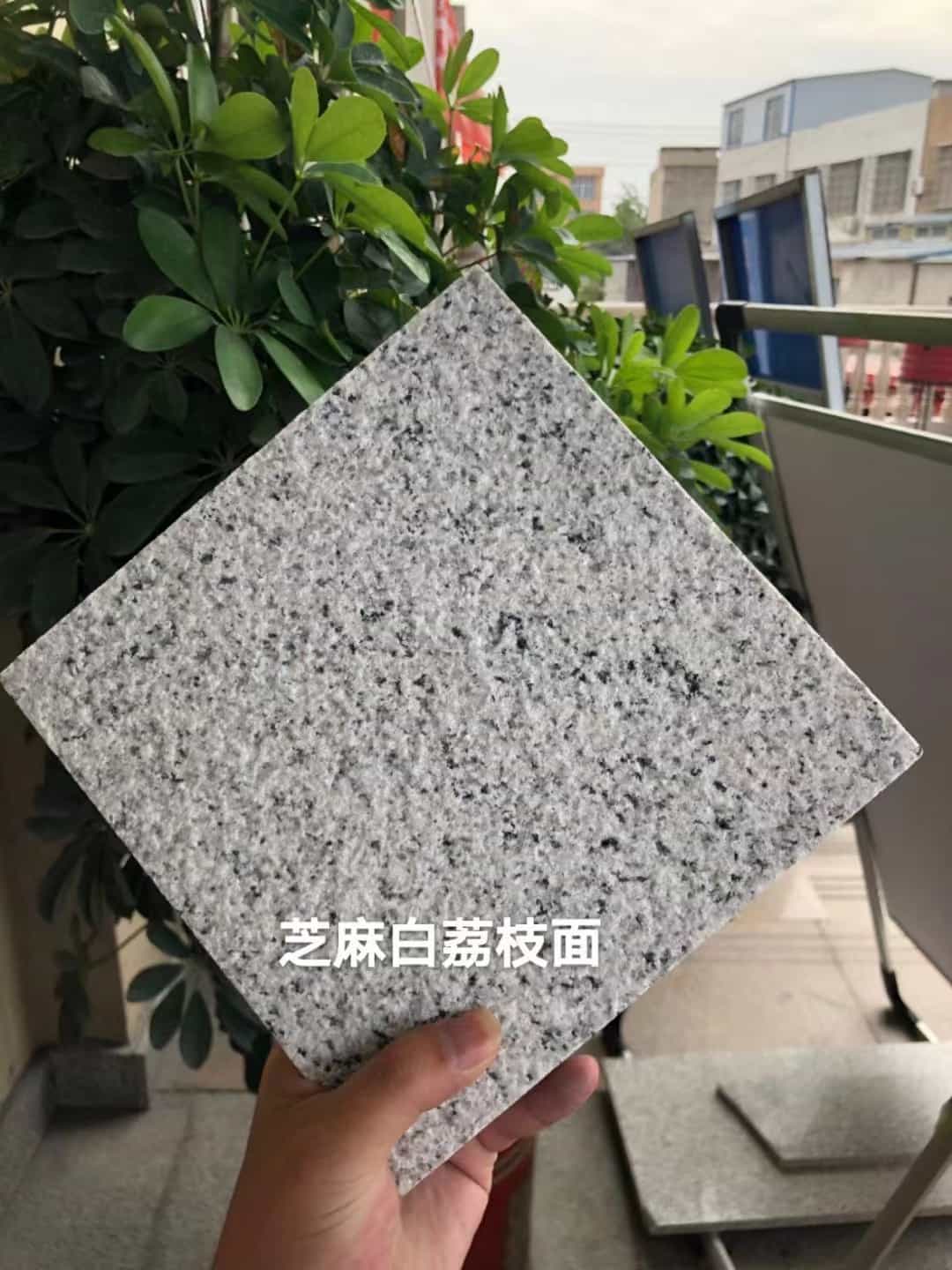 滨州 芝麻白荔枝面干挂
