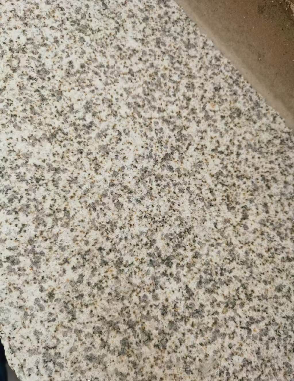 滨州 黄金麻中黄光面