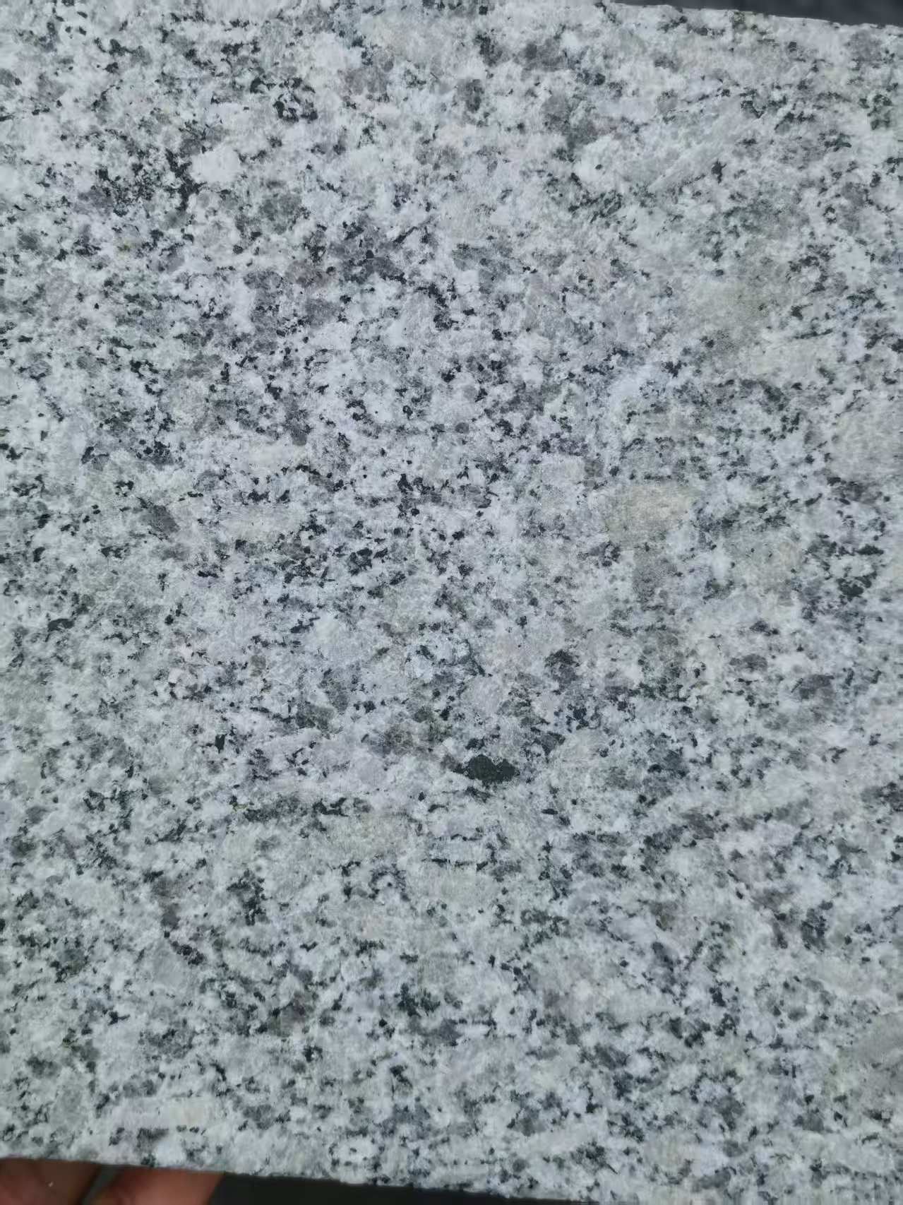 滨州 芙蓉白火烧面