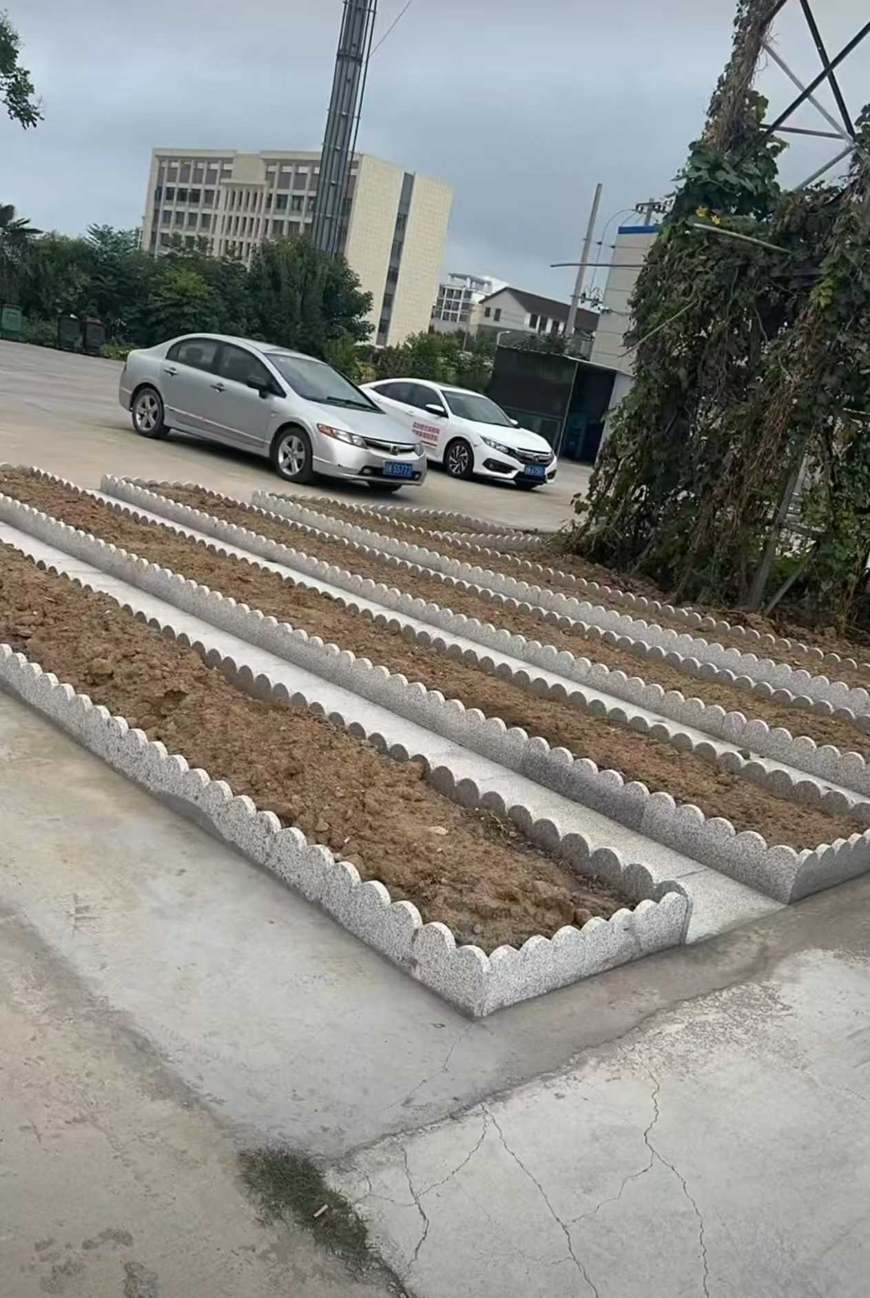 滨州 花边石、花围石、花园石安装效果